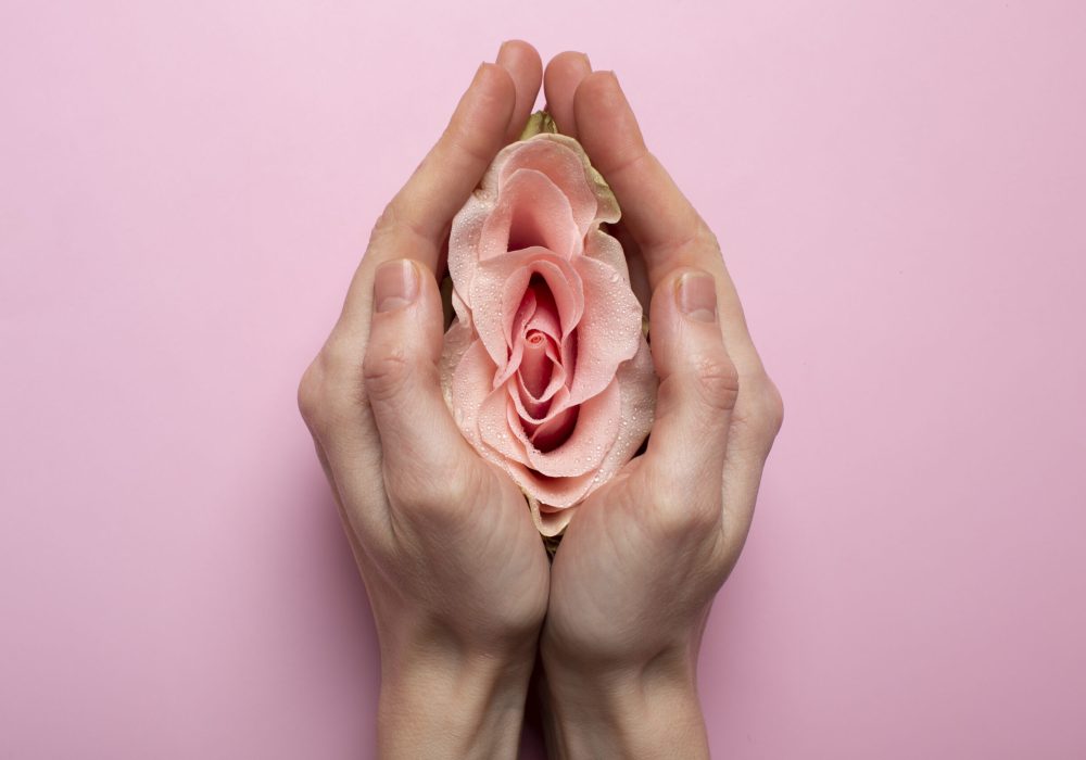 mujer-sosteniendo-rosa-en-las-manos-para-la-visualizacion-del-sistema-reproductivo mujer-sosteniendo-rosa-en-las-manos-para-la-visualizacion-del-sistema-reproductivo